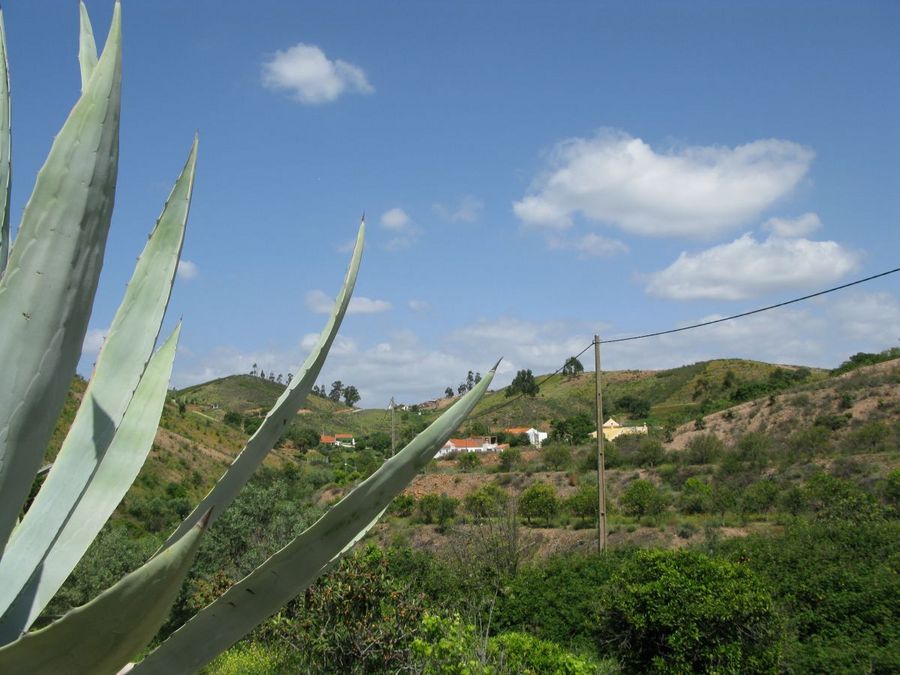 gal/2008-04 Portugal/Adrien/0098.jpg